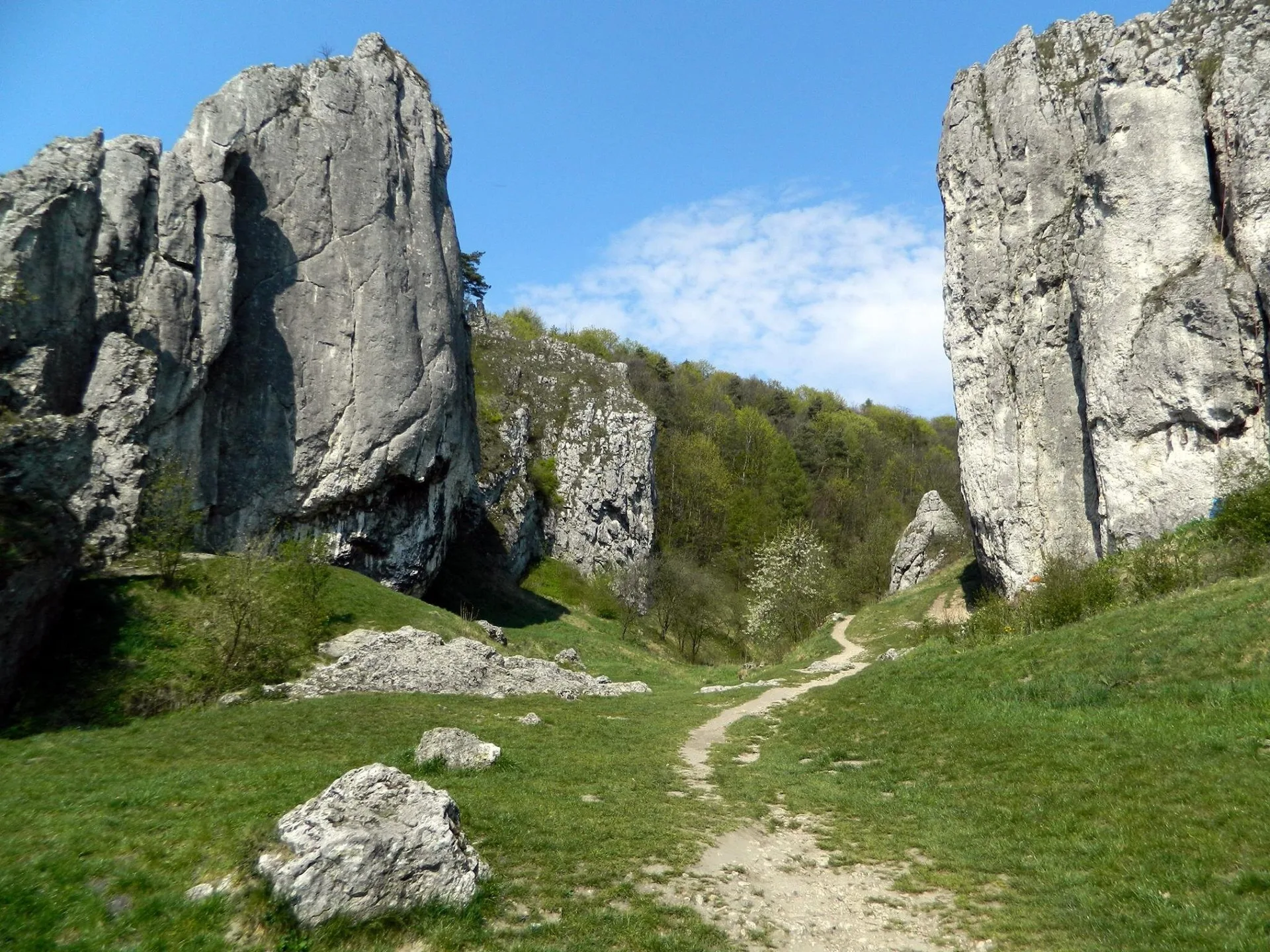 Dolinki podkrakowskie